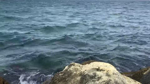 №19. Заплыв в Мраморном море.